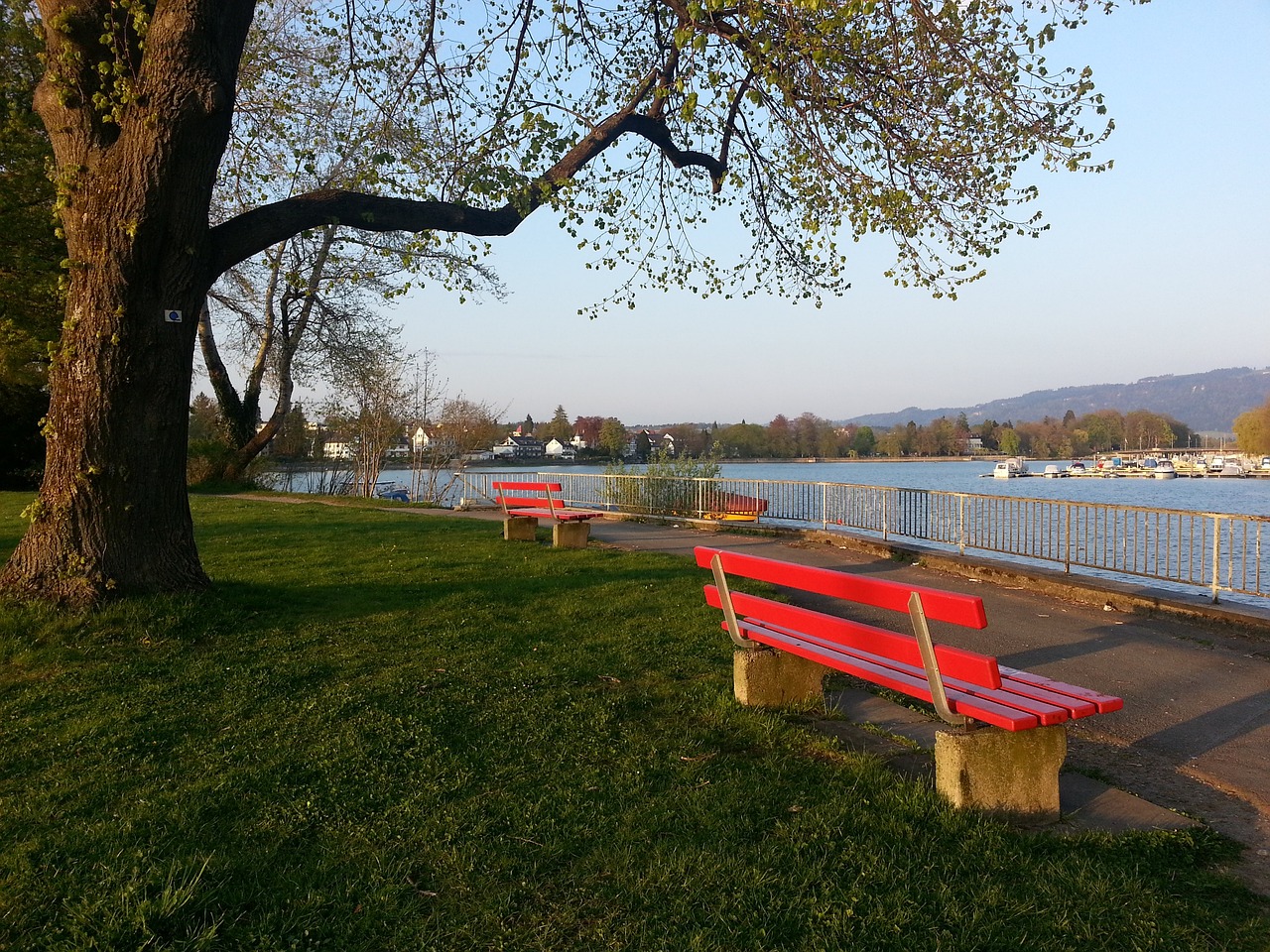 弗洛倫肖的 弗洛倫肖的