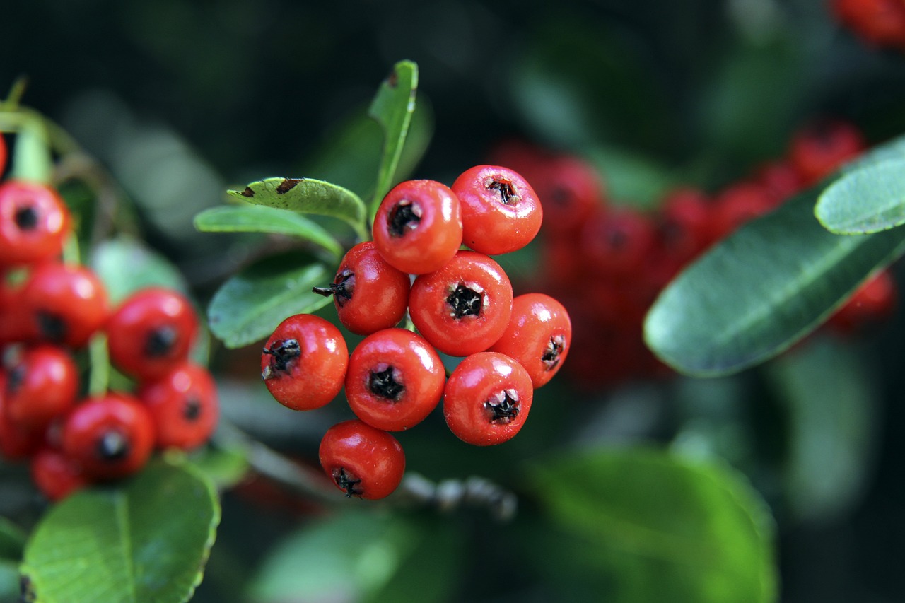 用身高和力 用身高和力